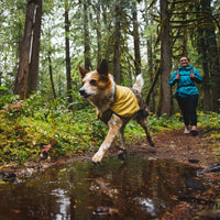 Ruffwear Sun Shower™ Dog Raincoat in Mineral Yellow (X Small)