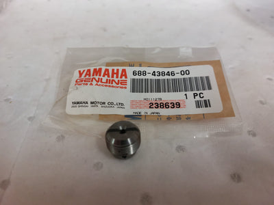 SCREW- VALVE BODY 688-43846-00  YAMAHA