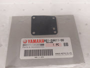 DIAPHRAGM 6G1-24411-00  YAMAHA