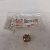 PROP NUT  90171-10M01  YAMAHA