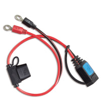 The M6 Eyelet Connector with Fuse