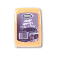 Large Sponge CTA004