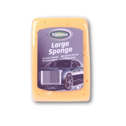 Large Sponge CTA004
