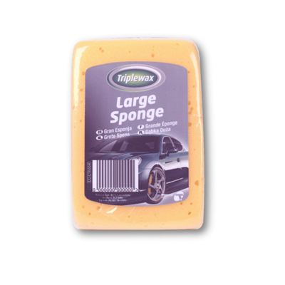 Large Sponge CTA004
