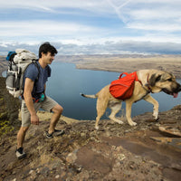 Ruffwear Palisades™ Dog Backpack in Red Sumac (Medium)