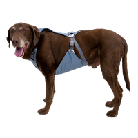 Ruffwear Load Up™ Dog Car Harness in Slate Blue (Medium)