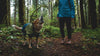 Ruffwear Sun Shower™ Coverall Dog Raincoat Midnight Blue (Small)