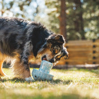 Ruffwear Porcini™ Dog Toy in Moss Green (One Size)