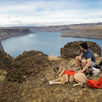 Ruffwear Palisades™ Dog Backpack in Red Sumac (Medium)