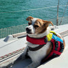 FIDO - Flotation for dogs by Spinlock