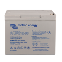 12V/60Ah AGM Super Cycle Batt. M5-insert style terminal.