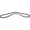 Orbitrade 18385 Drive Belt for Volvo Penta MD17D Engines (1250mm Long)
