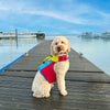 FIDO - Flotation for dogs by Spinlock