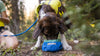 Ruffwear Trail Runner™ Ultralight Dog Bowl in Blue Pool