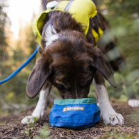 Ruffwear Trail Runner™ Ultralight Dog Bowl in Blue Pool