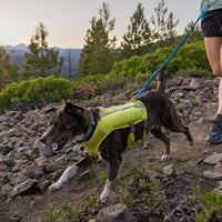 Ruffwear Trail Runner™ Dog Lead in Blue Pool (1 to 1.8 m)