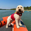 FIDO - Flotation for dogs by Spinlock