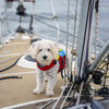FIDO - Flotation for dogs by Spinlock
