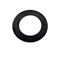 Gasket Insert Base Neoprene (25) - Z3001