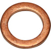 AG Copper Washers Pack of 10 (1/8" BSP Male) M351