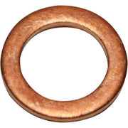 AG Copper Washers for 1/8" BSP Male