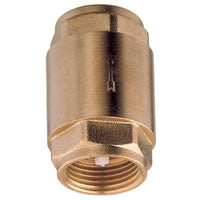 AG Spring Check Valve 1/2" BSP Female