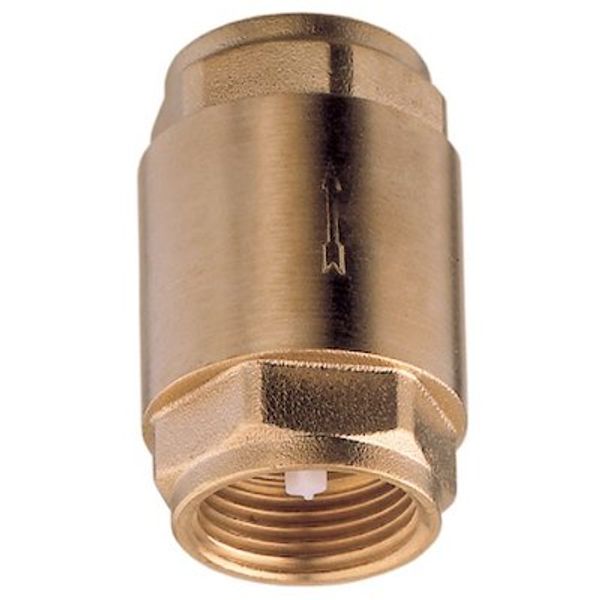 AG Spring Check Valve 1/2" BSP Female