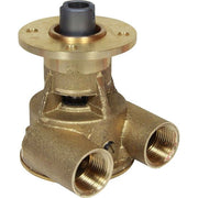 Johnson F5B-9002 Impeller Pump OEM - ChasNewensMarine