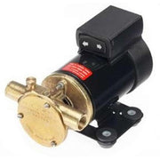 Johnson F3B-19 24V Oil Change Pump