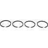 PRM Piston Ring Kit (PRM Delta, 150)  107542 - ChasNewensMarine