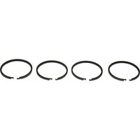 PRM Piston Ring Kit (PRM Delta, 150)  107542 - ChasNewensMarine