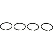 PRM Piston Ring Kit (PRM Delta, 150)  107542 - ChasNewensMarine
