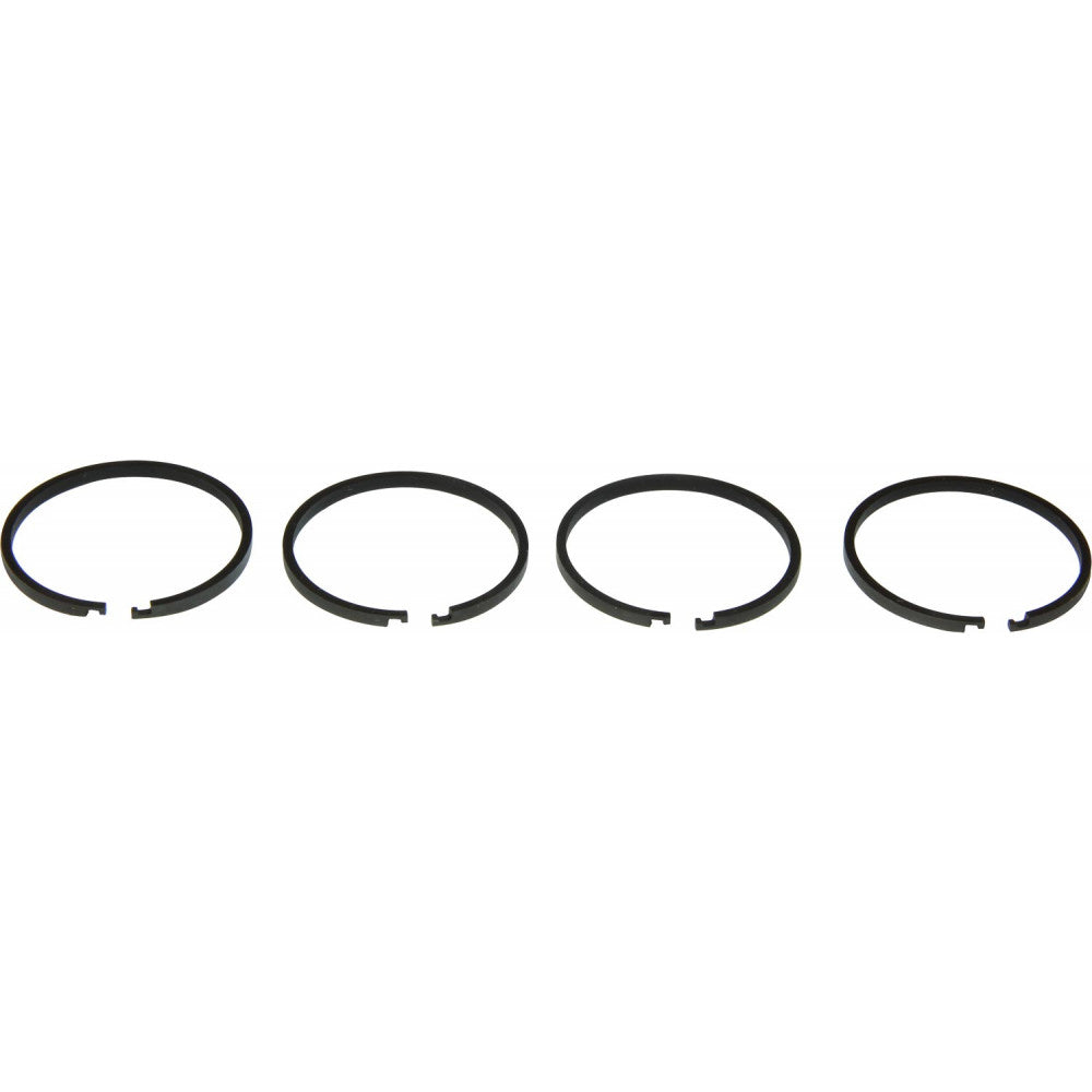 PRM Piston Ring Kit (PRM Delta, 150)  107542 - ChasNewensMarine