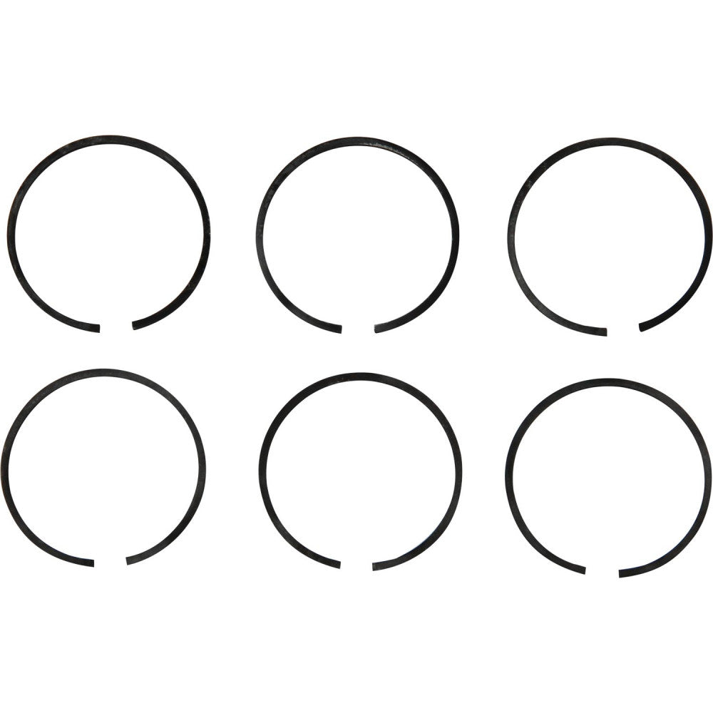 PRM Piston Ring Kit (PRM 160D, 260, 301, 302, 401, 402, 500 & 750)  107545 - ChasNewensMarine