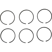 PRM Piston Ring Kit (PRM 601, 1000)  107548