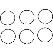 PRM Piston Ring Kit (PRM 601, 1000)  107548