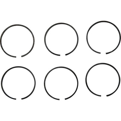 PRM Piston Ring Kit (PRM 601, 1000)  107548