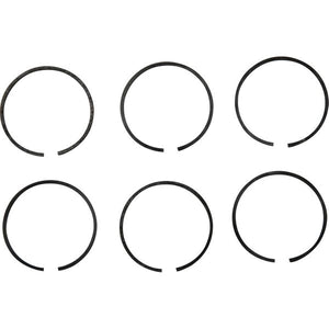 PRM Piston Ring Kit (PRM 601, 1000)  107548