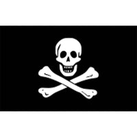 Pirate's Flag by Lalizas