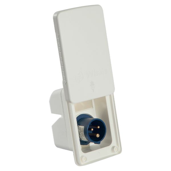 Whale Mains Electric In Socket - SO3100B