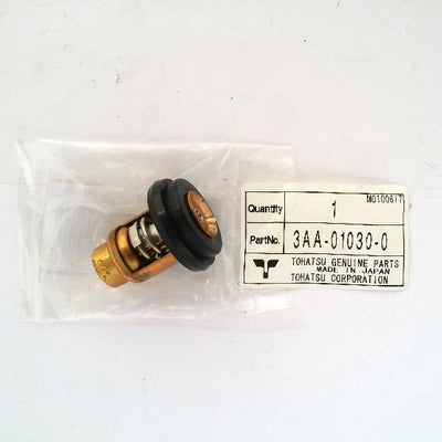 3AA-01030-0 Thermostat