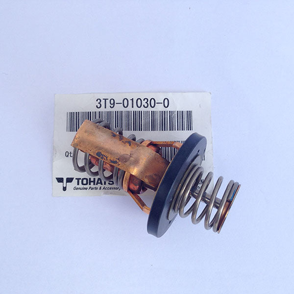3T9-01030-0 Thermostat