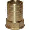 Maestrini Brass Straight Hose Tail (1-1/4" BSP Female to 40mm Hose)