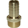 Maestrini DZR Straight Hose Tail (1" BSPT Male to 25mm Hose)