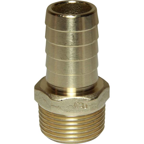 Maestrini DZR Straight Hose Tail (1" BSPT Male to 25mm Hose)
