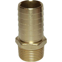 Maestrini DZR Straight Hose Tail (1" BSPT Male to 32mm Hose)