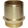 Maestrini DZR Straight Hose Tail (2" BSPT Male to 64mm Hose)