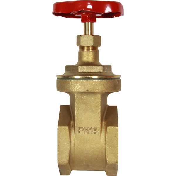 Maestrini Brass Gate Valve with Brass Body (3" BSP Female)