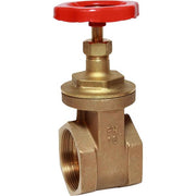 Maestrini Brass Gate Valve with Bronze Body (2" BSP Female)