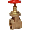 Maestrini Brass Gate Valve with Bronze Body (4" BSP Female)